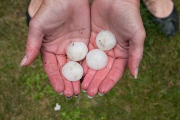 Hail damage in Spring